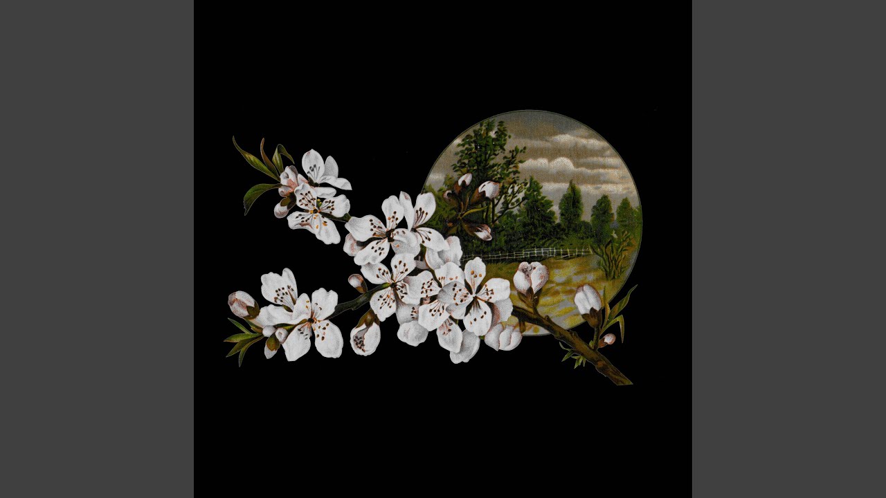 Nope your too late i already died (Piano Version)