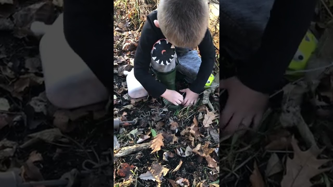 Duke Dogproof, split ring, and 