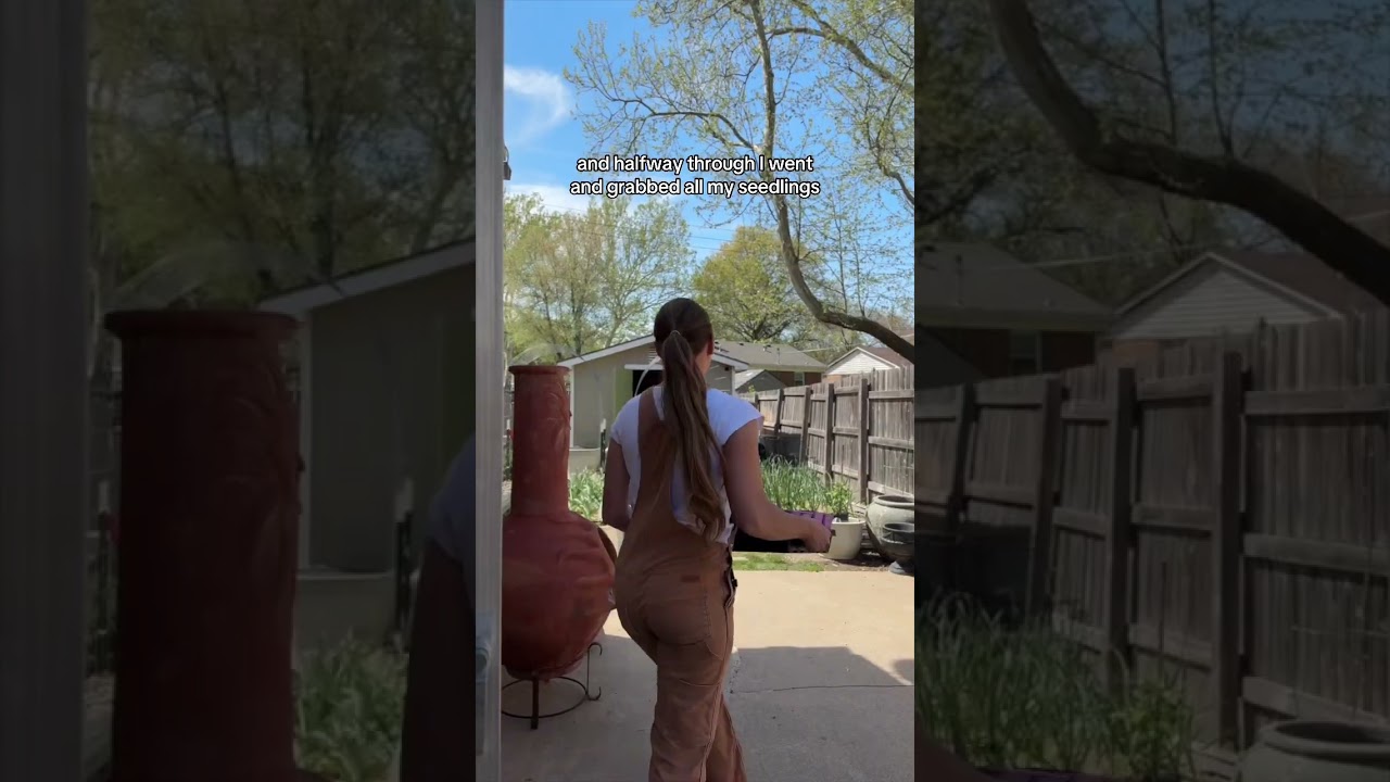 First Harvest Of 2025! - Getting Things Checked Off In The Garden!  