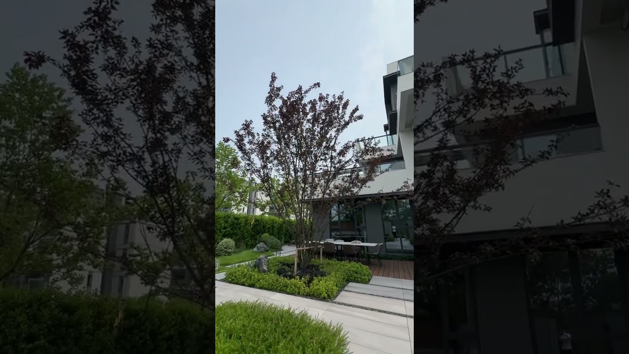 This Courtyard Can Be Yours for Over 800,000 Yuan || Such a Favorite 