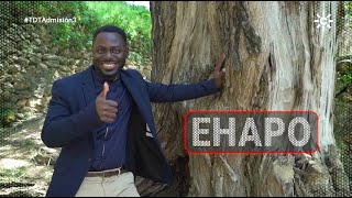 Vídeo de presentación de Luis Ehapo en Tierra de Talento
