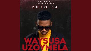Waysusa Uzoymela