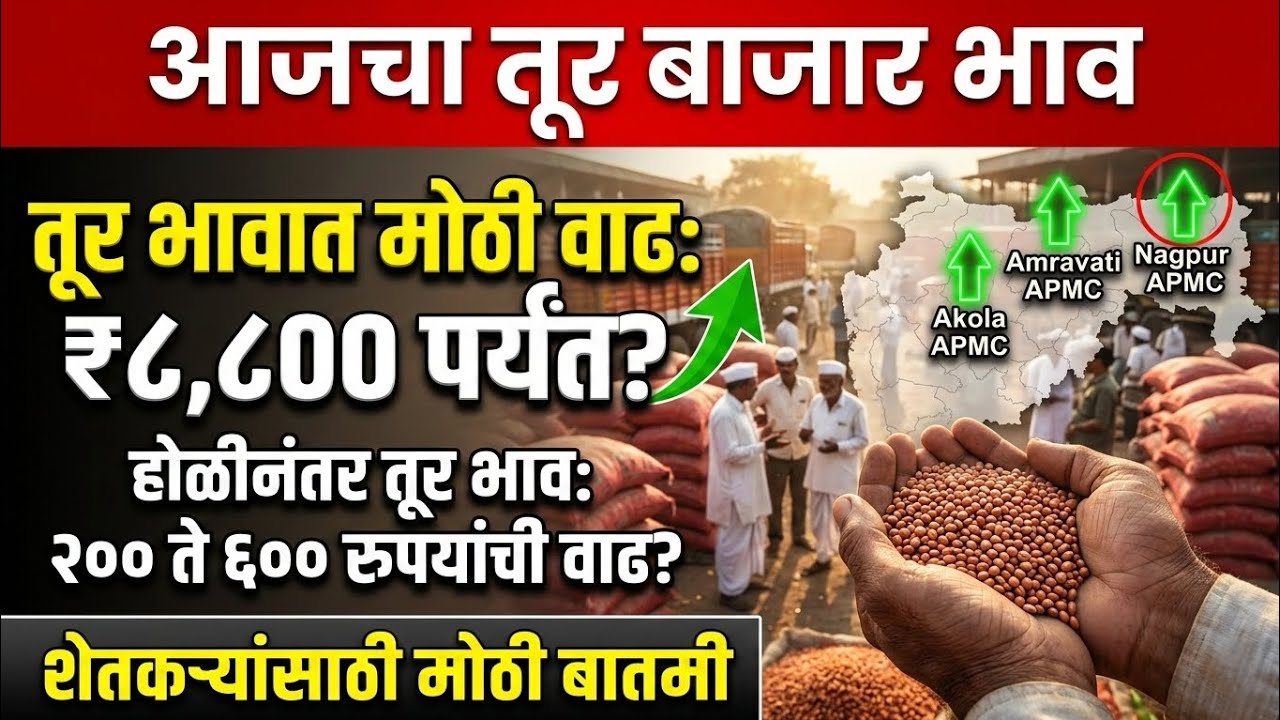 तूर बाजारभाव अपडेट 2026 🔥 होळीनंतर तूर ₹10,000 जाणार? पुढच्या 15 दिवसांचा अचूक अंदाज! Tur bajar bhav