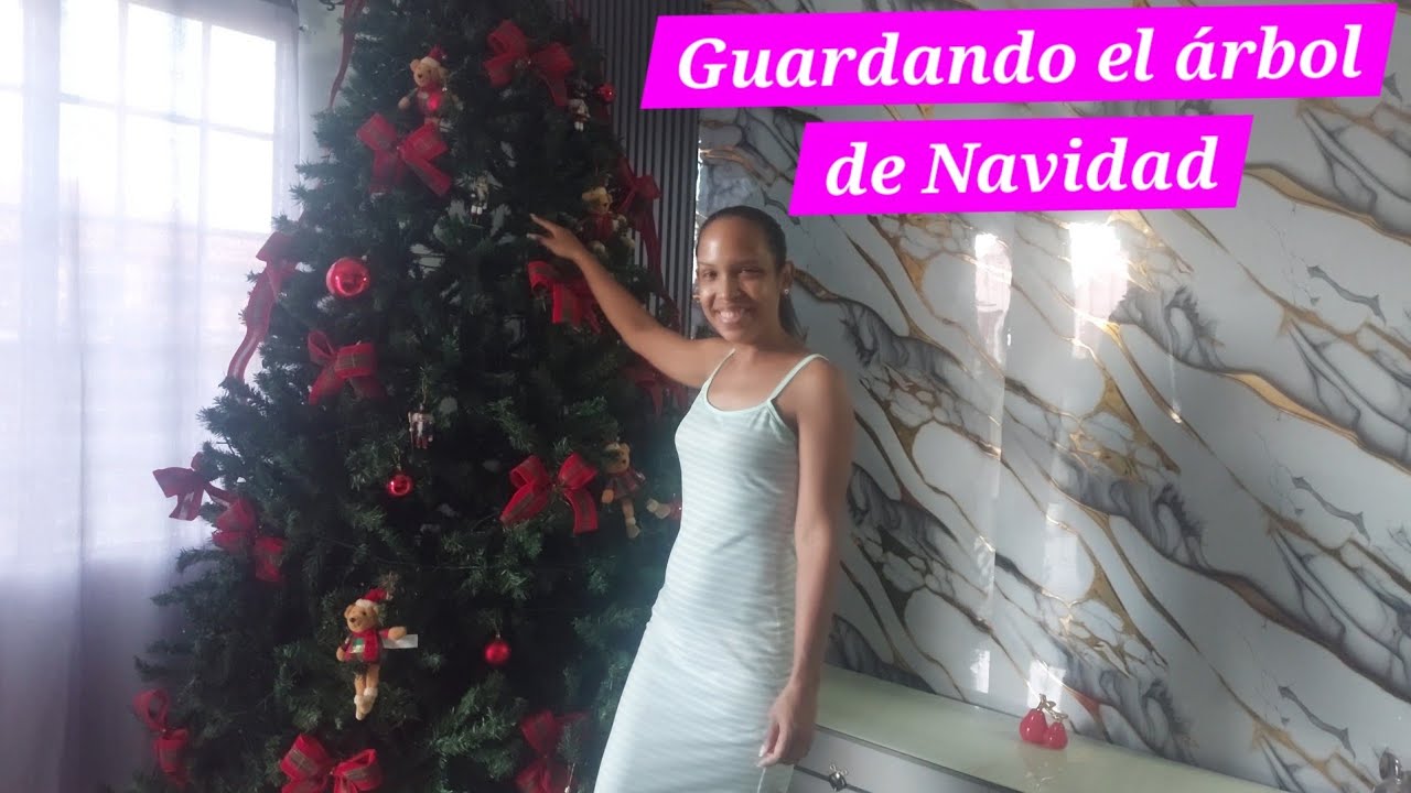 Guardando el arbolito de navidad🌲