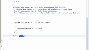 Do While Loop Example
