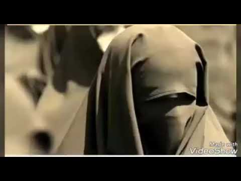 خير النساء البرة التقية 