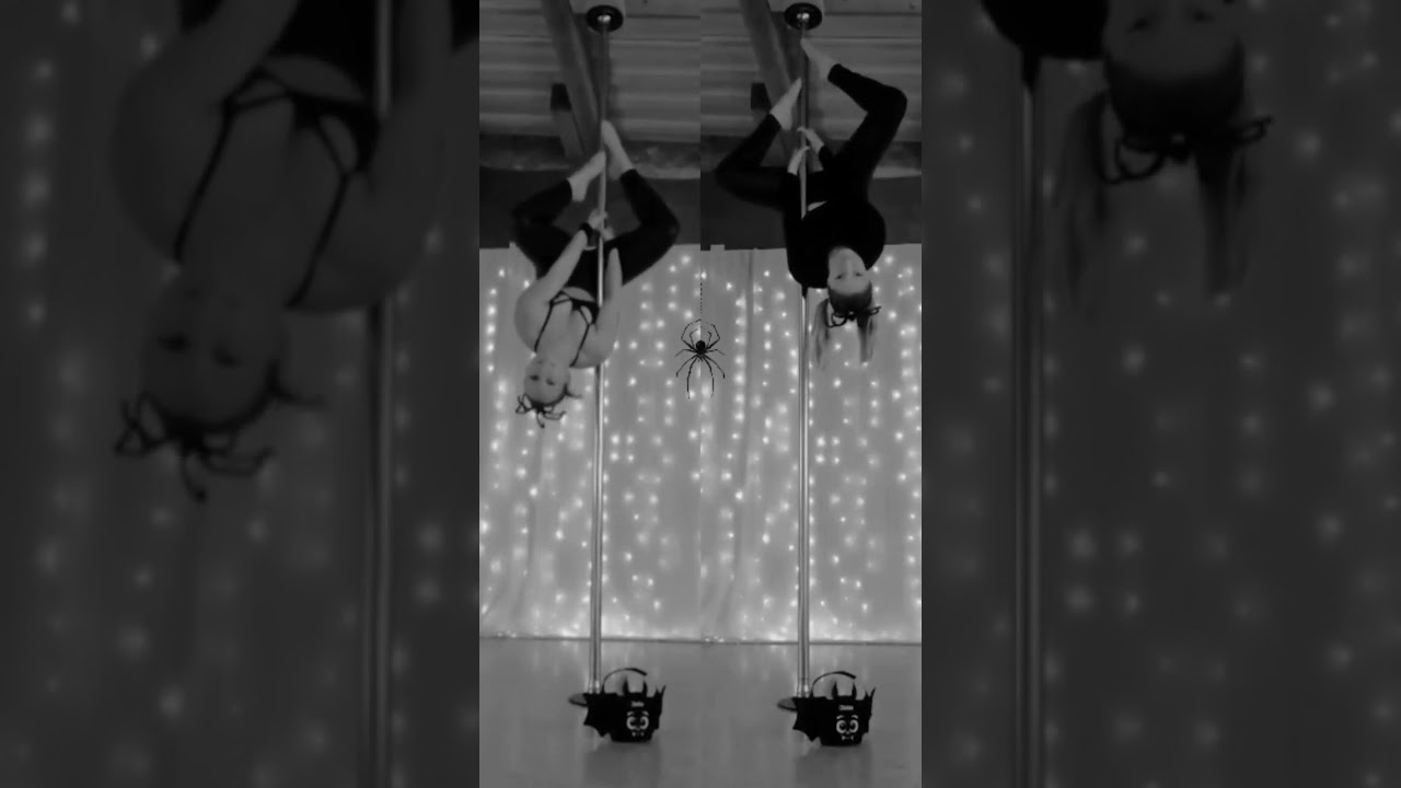 Halloween spiders 🕷🎃