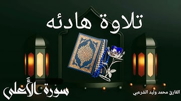 سورة الأعلى بصوت القارئ ||محمد وليد الشرعبي||