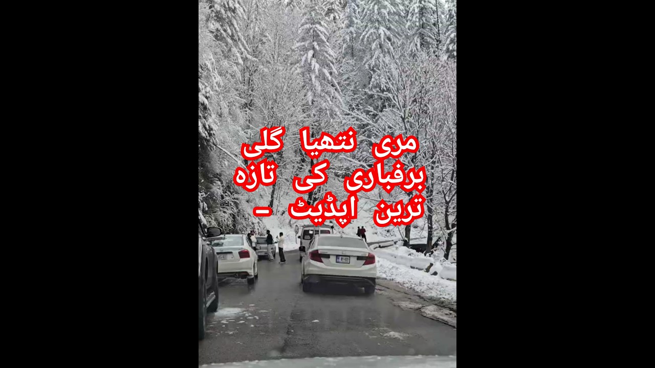 Murree Nathia Gali Snowfall Update March 2025 | 