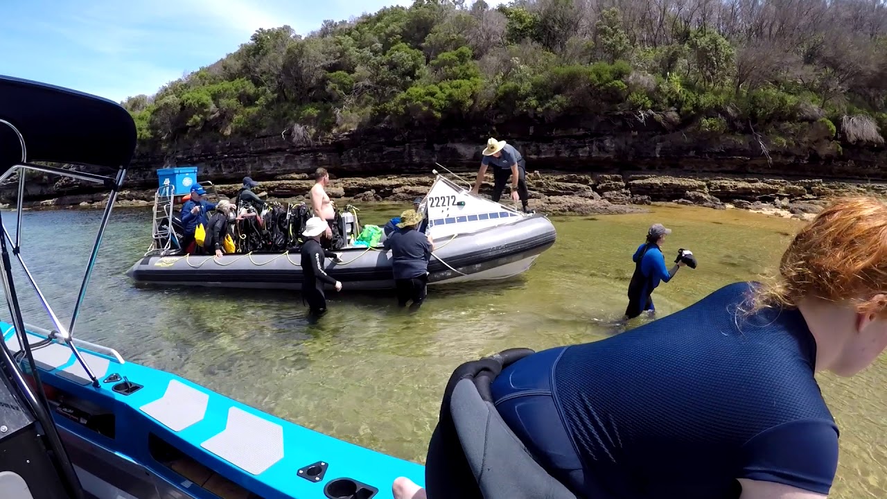 Jervis Bay 17 Feb 2019 YouTube