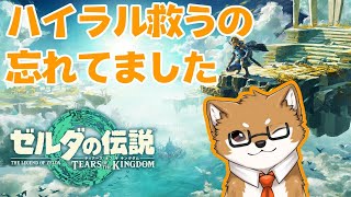 【ゼルダの伝説TotK】久しぶりにハイラルに来てみた【#07】