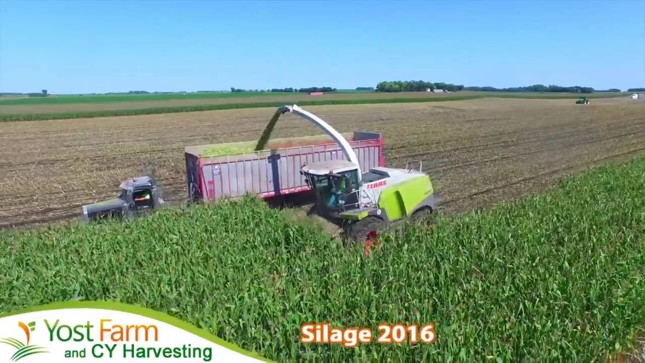 Yost Farm A Farming Family, est. 1876, Murdock, MN