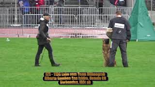 2017 Sv Bszs In Ulm Tsb Part 161 Ezs Labo Vom Team Hühnegrab