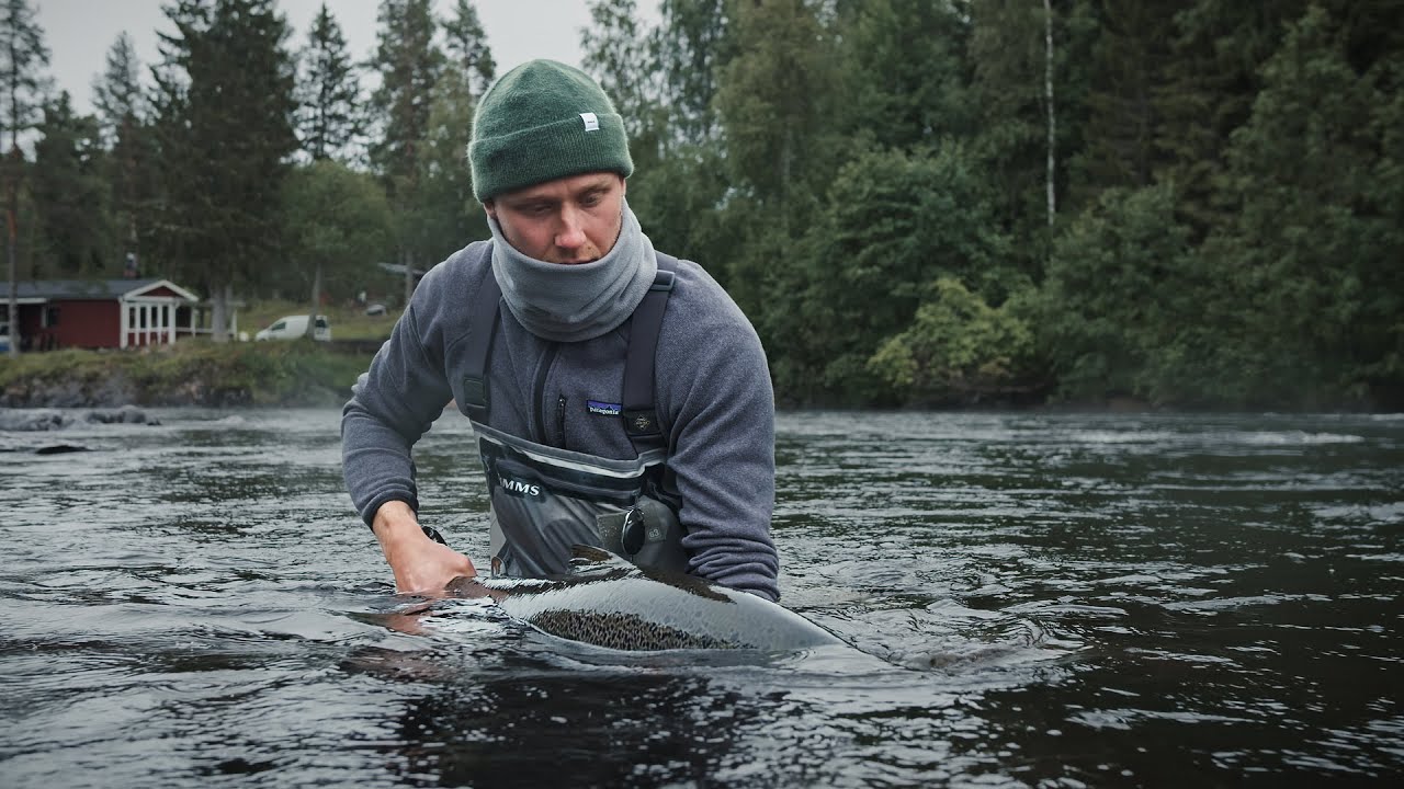 The Wild Ones - Fly Fishing For Baltic Salmon