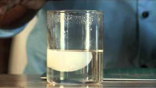 iScience Freeze Touch Reveal