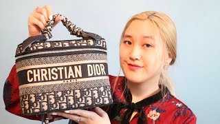 New Dior Oblique Vanity Bag // What Can Fit & Louis Vuitton Nice BB Comparison