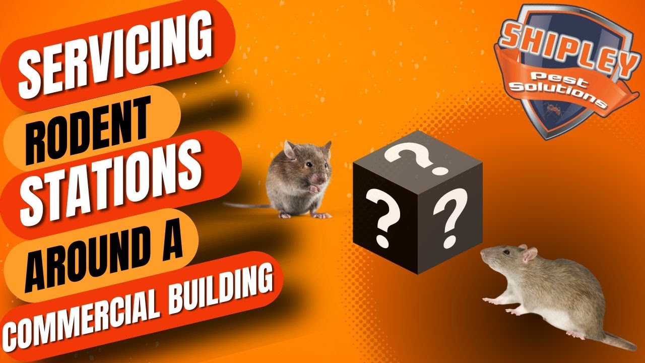 Servicing Rodent Bait Stations Around A Commercial Building