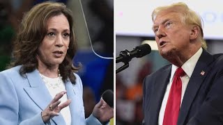 On Election Night, how does the AP call races?