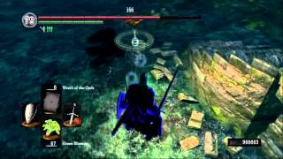 Dark Souls - Forest Hunter Revenge PvP