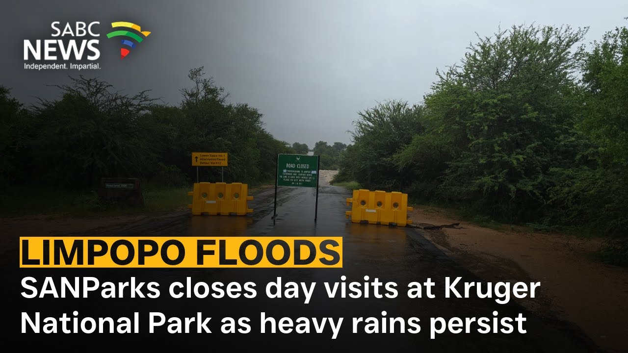 Floods | SANParks closes day visits at Kruger National Park as heavy rains persist