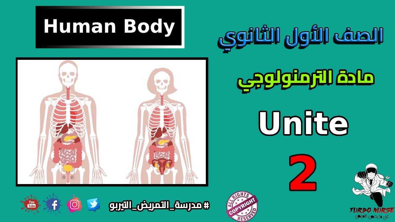 ترمنولوجي اولى ثانوى تمريض الوحدة الثانية جسم الانسان the human body