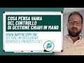 Cosa pensa Vania del controllo di Gestione chiavi in mano | Vania Barthelemy SRL