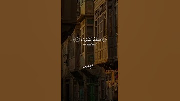 تلاوة نادرة بصوت الشيخ محمد صديق المنشاوي  ستشعر بالخشوع وكأنك تسمع القرآن لأول مرة