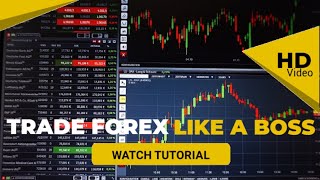 How To Trade Forex On News Releases And Make Big Profit How To Trade Forex On News Releases And Make Big Profit