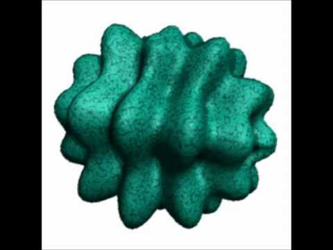 Multi-Object Segmentation with ImageSci Toolkit (OpenCL / Java)