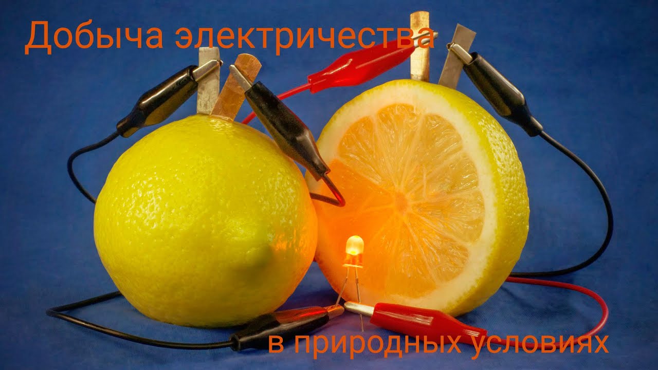 Фруктовые батарейки. Батарейка из овощей и фруктов. Электричество из лимона. Батарейка из фруктов. Электричество из овощей и фруктов.