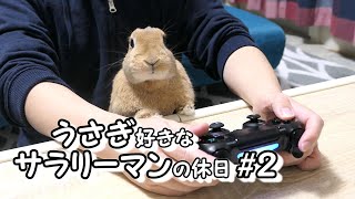 【Vlog】ウサギ好きなサラリーマンの休日2