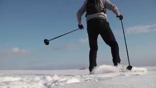 Skiing - прогулка на беговых лыжах на природе