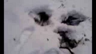 Boy Named Ants Making His Feet Dirty