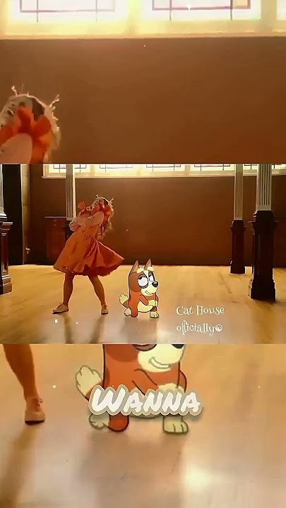 SHAKE IT BINGO❤️‍🔥 #kittens #cathouse #bingo #bluey #ebit #shorts