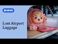 'Airport brain' sees troves of luggage left behind by travellers | ABC NEWS