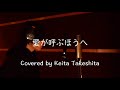 ポルノグラフィティ『愛が呼ぶほうへ』【Covered by Keita Takeshita】