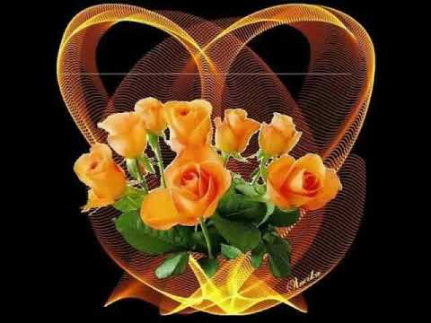 عاي ني غاڠ ݢن هو سوم هوڠ داي او
