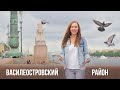 Василеостровский район. Что есть на островах? Районы - Кварталы