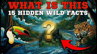 Amazon Exposed: 15 Incredible Facts About the Wildest Jungle