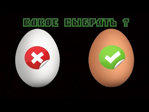 В чем разница между белыми и коричневыми яйцами