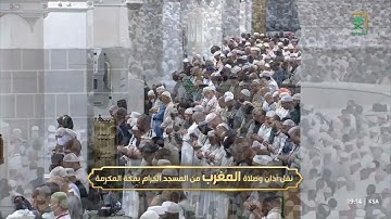 سورة النساء 130-134 و سورة لقمان 26-28 - صلاة المغرب - الشيخ بندر بليله - 15 ذي الحجة 1446
