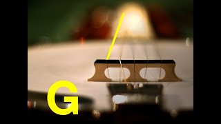 🪕 Tune My Banjo (gDGBD) Open G Tuning 🎵 Free Easy Online Chromatic Tuner Video 🎶 Bluegrass Folk Banjo Tuner Open G