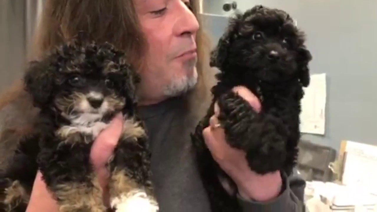 The Left Paw 04 25 18