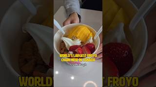world's largest froyo chain from korea now in canada 🍧🇰🇷
