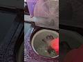 Washing Machine बहुत ज्यादा आवाज कर रहा है? #washingmachine #repair #diy #shorts ##tricks #solution