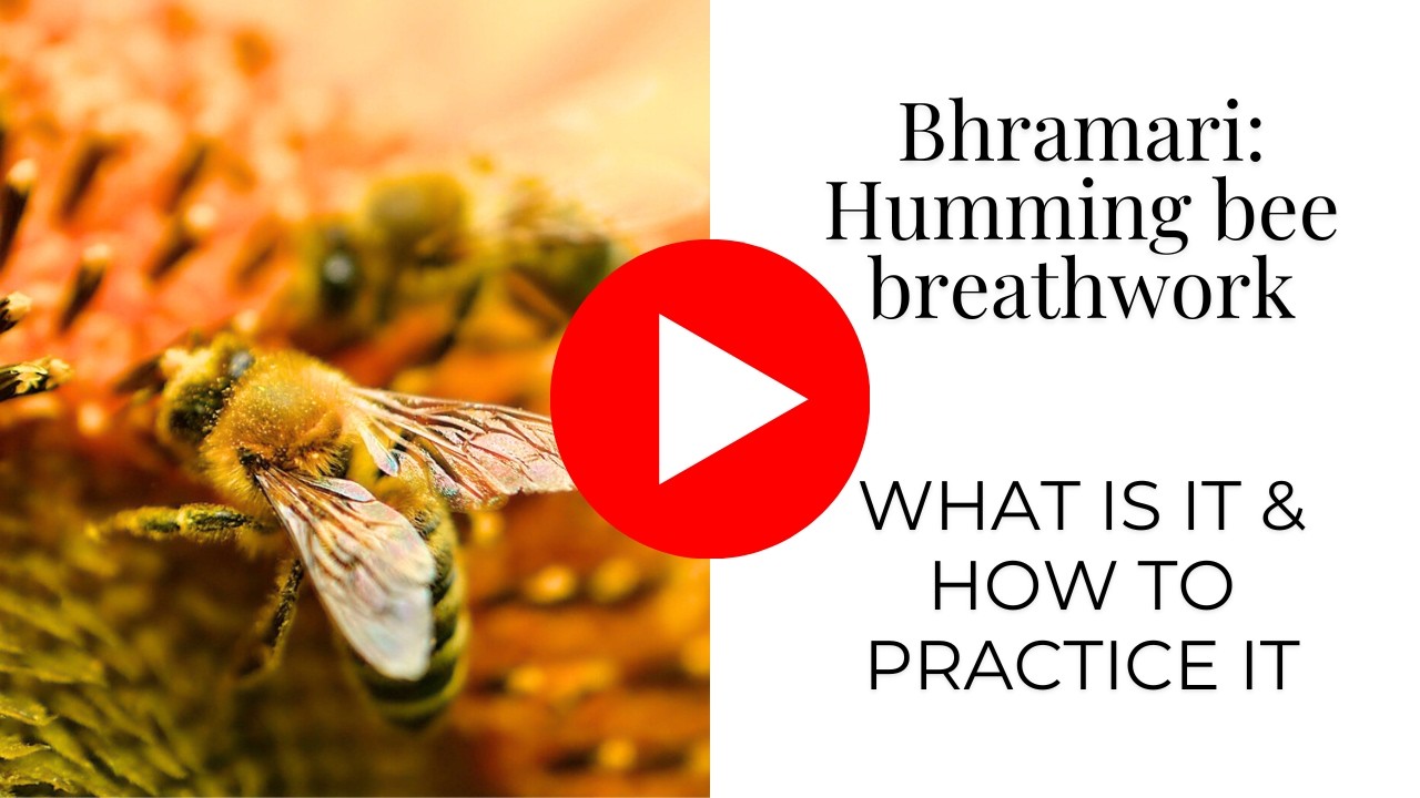 Humming Bee Breathwork - Bhramari Pranayama Practice - Breathe With Me