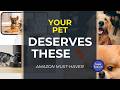 5 Smart Pet Gadgets Every Dog & Cat Owner Needs in 2026!