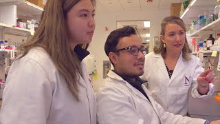 Shannon Lauberth's Lab: Studying Chromatin and Transcriptional Regulation in Cancer