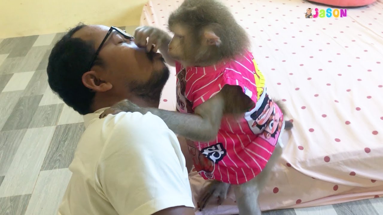 Dr. Boki Soothing ASMR Talk Grooming Dad While Sweet Nap - YouTube