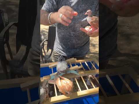 BUNU KİMLER BİLİYO ? Yorumlarda buluşalım